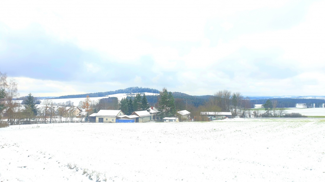 Foto: Martin Zehrer - Winter-Spaziergang von Neusteinreuth aus nach Godas hoch :-) 