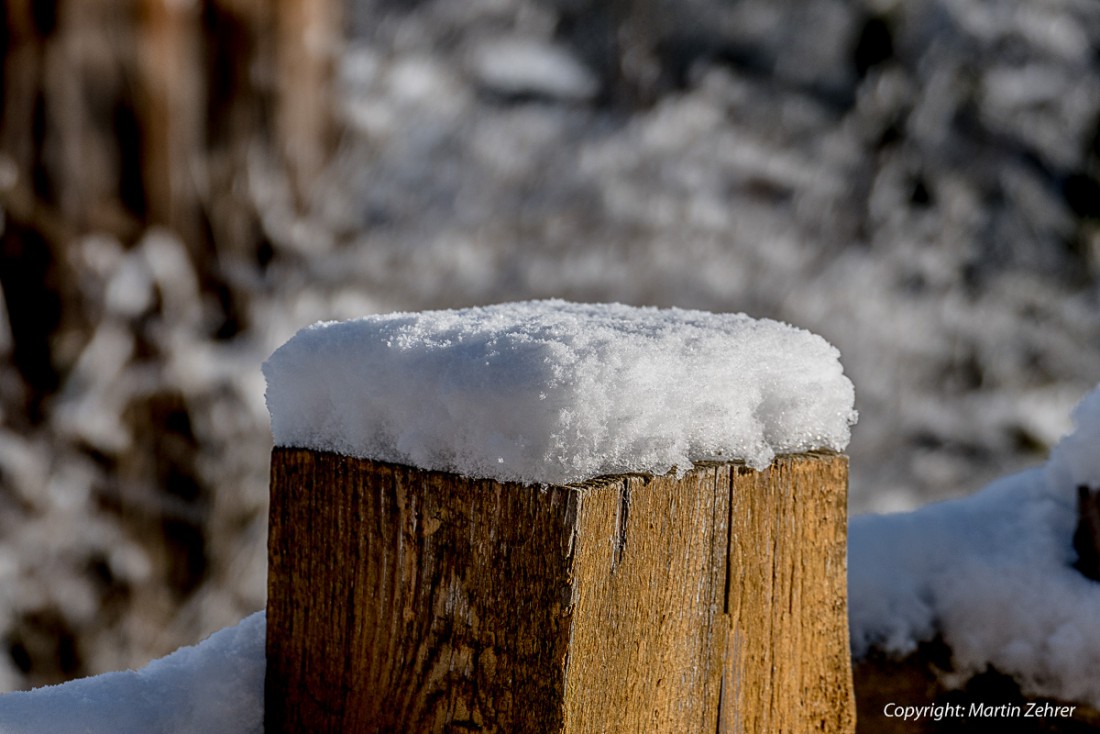 Foto: Martin Zehrer - Hier stehe ich und bin bedeckt! Schnee hat diesen Pfosten berieselt - still und heimlich, über Nacht. Bald ist Weihnachten... 22. November 2015 