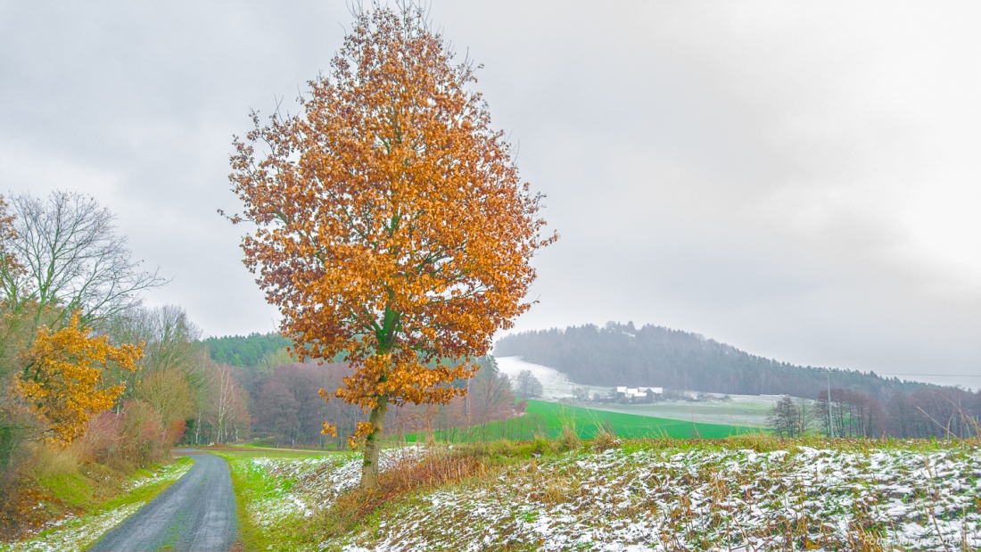 Foto: Martin Zehrer - shit Wetter, wunderbares Laufen...<br />
<br />
Der Blick zum Anzenstein hoch zeigt es - ein bisschen Schnee, ein wenig Regen und eine gemütliche Runde laufen unterm Anzenstein ;-) 