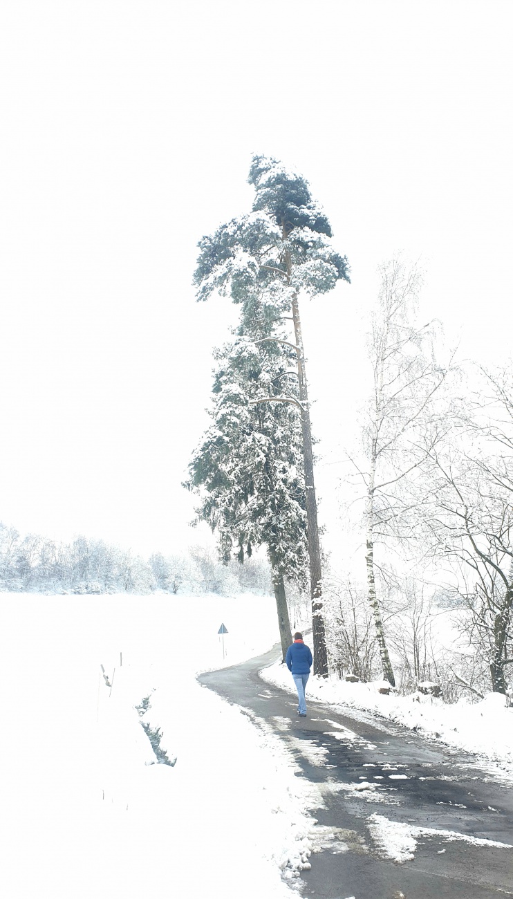 Foto: Martin Zehrer - Winter-Spaziergang von Neusteinreuth nach Godas...<br />
<br />
Ziemlich frischer Wind... 