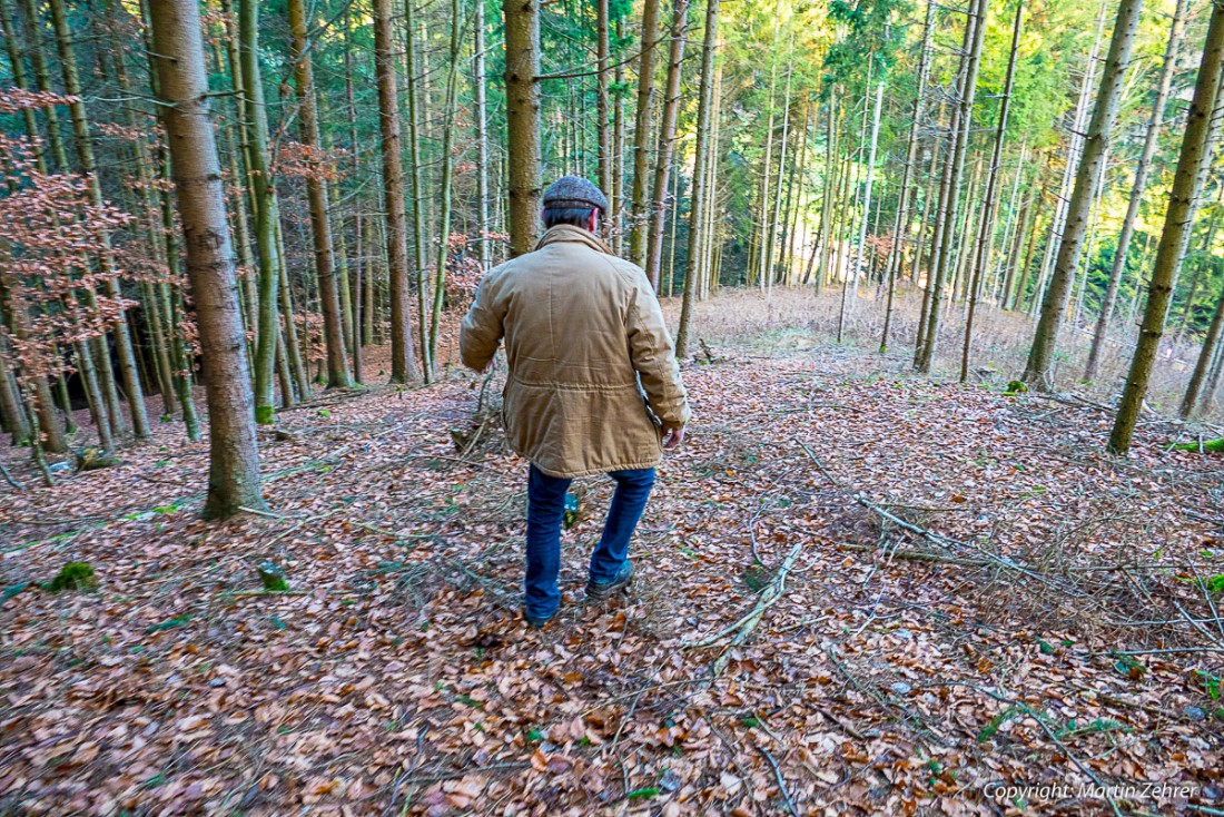 Foto: Martin Zehrer - Dann gings wieder bergab, mitten durch den Bayrischen Wald. Django, ein Einheimischer und zugleich Schwager führte uns zielsicher nach Neuhaus. 