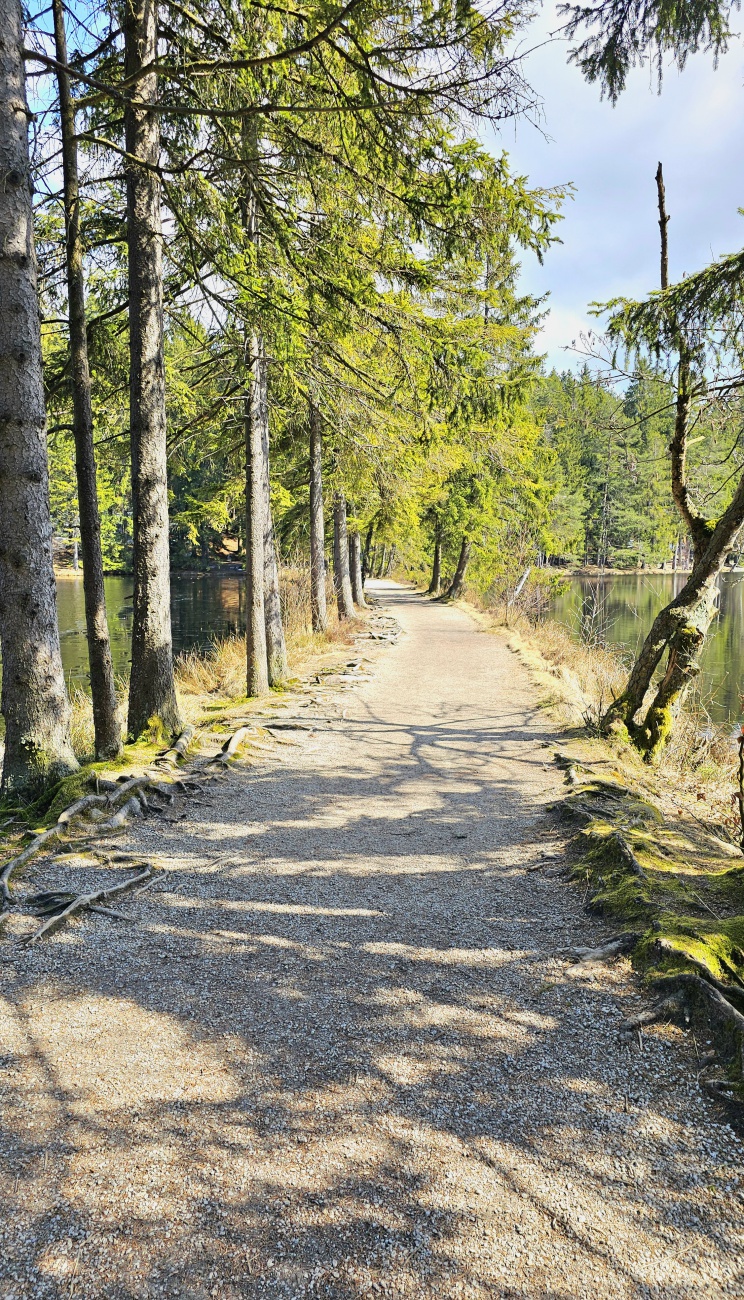 Wenn Du zum Fichtelsee reist um den See oder die Natur zu genießen, triffst Du auf gut preparierte Wanderwege.