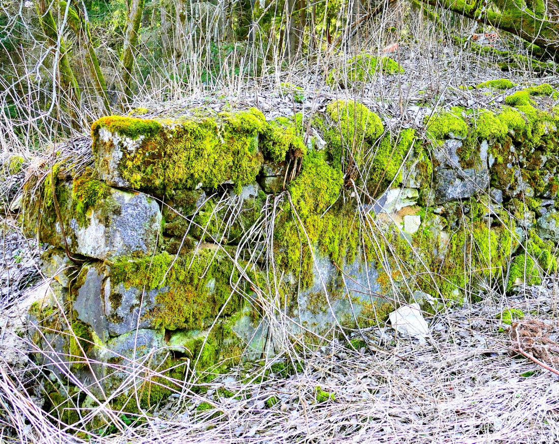 Foto: Martin Zehrer - Alze Mauer-Reste stehen da mitten im Wald... 