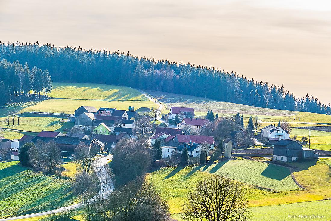 Foto: Martin Zehrer - Phantastischer Rundgang im Paradies (Godas):<br />
Heute ist der 16.12.2019 und es liegt, ob manns glauben möchte oder nicht, bereits Frühlingsstimmung in der Luft. :-)<br />
Auch  