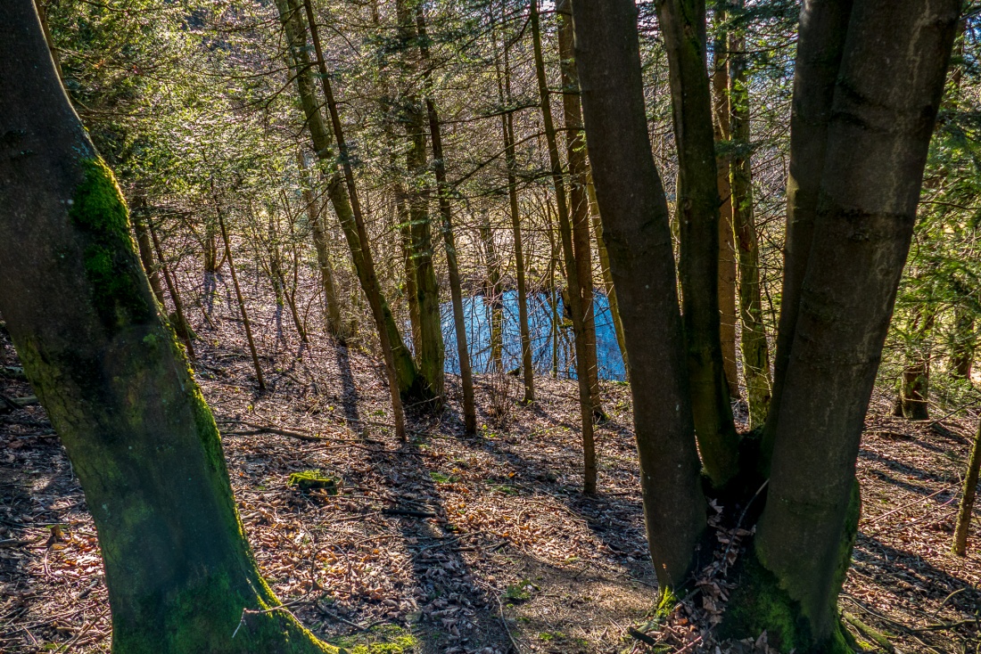 Foto: Martin Zehrer - Verzaubernde Plätze bei Godas... 30. Januar 2018 