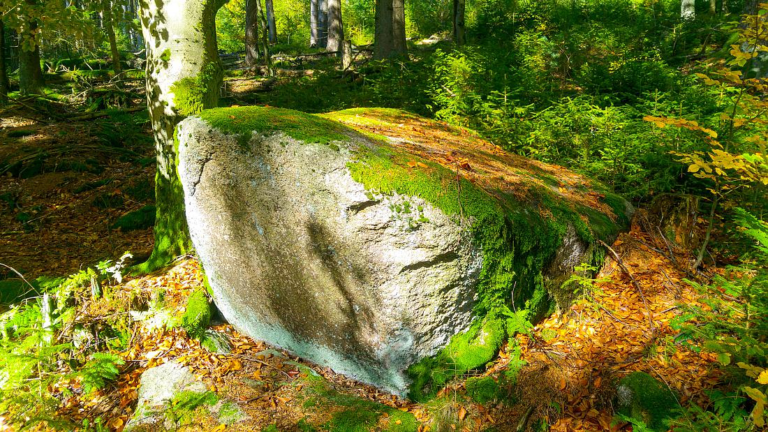 Foto: Martin Zehrer - Vormittags-Wanderung in den Steinwald. Der goldene Herbst ist mit ca. 22 Grad Temperatur, blauem Himmel und kräftigen Sonnenschein zurück...<br />
<br />
13.10.2019 