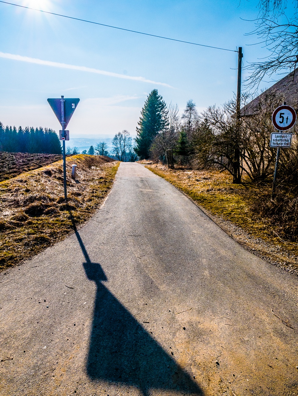 Foto: Martin Zehrer - Oben, auf der Bergspitze über Godas Nähe des ANwesens vom Kalmer. Hier kann man  nach Neusteinreuth runter fahren... oder sich auch von Neusteinreuth durch den Wald auf e 