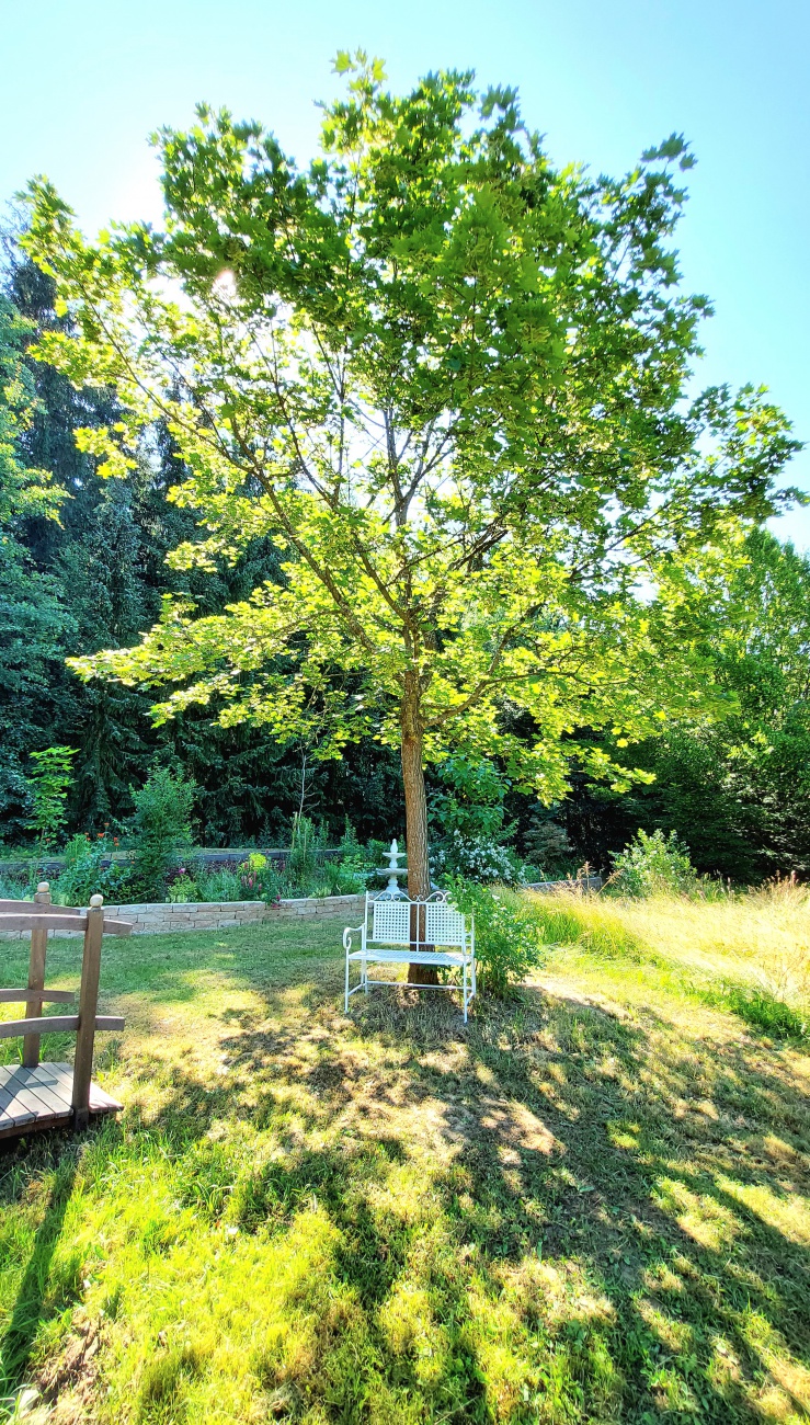 Foto: Martin Zehrer - Tag der offenen Gartentür in Neusorg...<br />
<br />
Auf Entdeckungsreise im wunderschönen Garten-Paradies der Familie Gerhardinger-Dauber... 