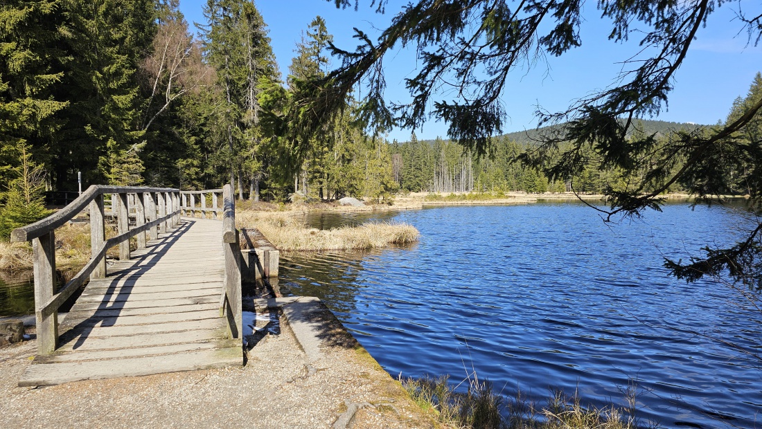 Dieser moor-dunkle Weiher befindet sich vor dem Einlauf zum Fichtelsee.