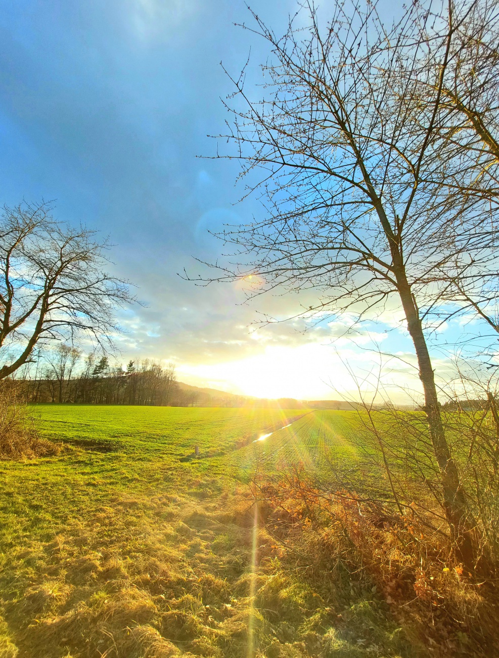 Foto: Martin Zehrer - Endlich Sonne!!! 