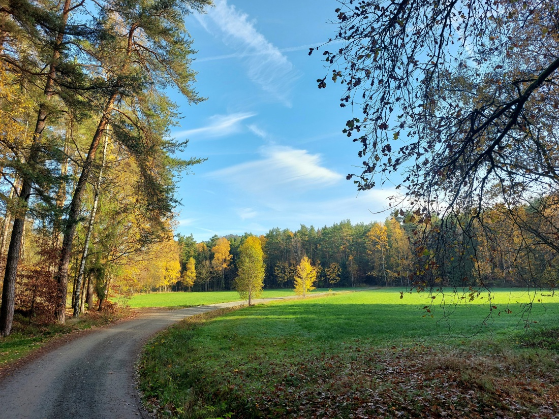 Foto: Martin Zehrer - Wunderschönes November-Wetter...<br />
<br />
Ein Samstag-Vormittag-Spaziergang im Eisersdorfer Wald... 