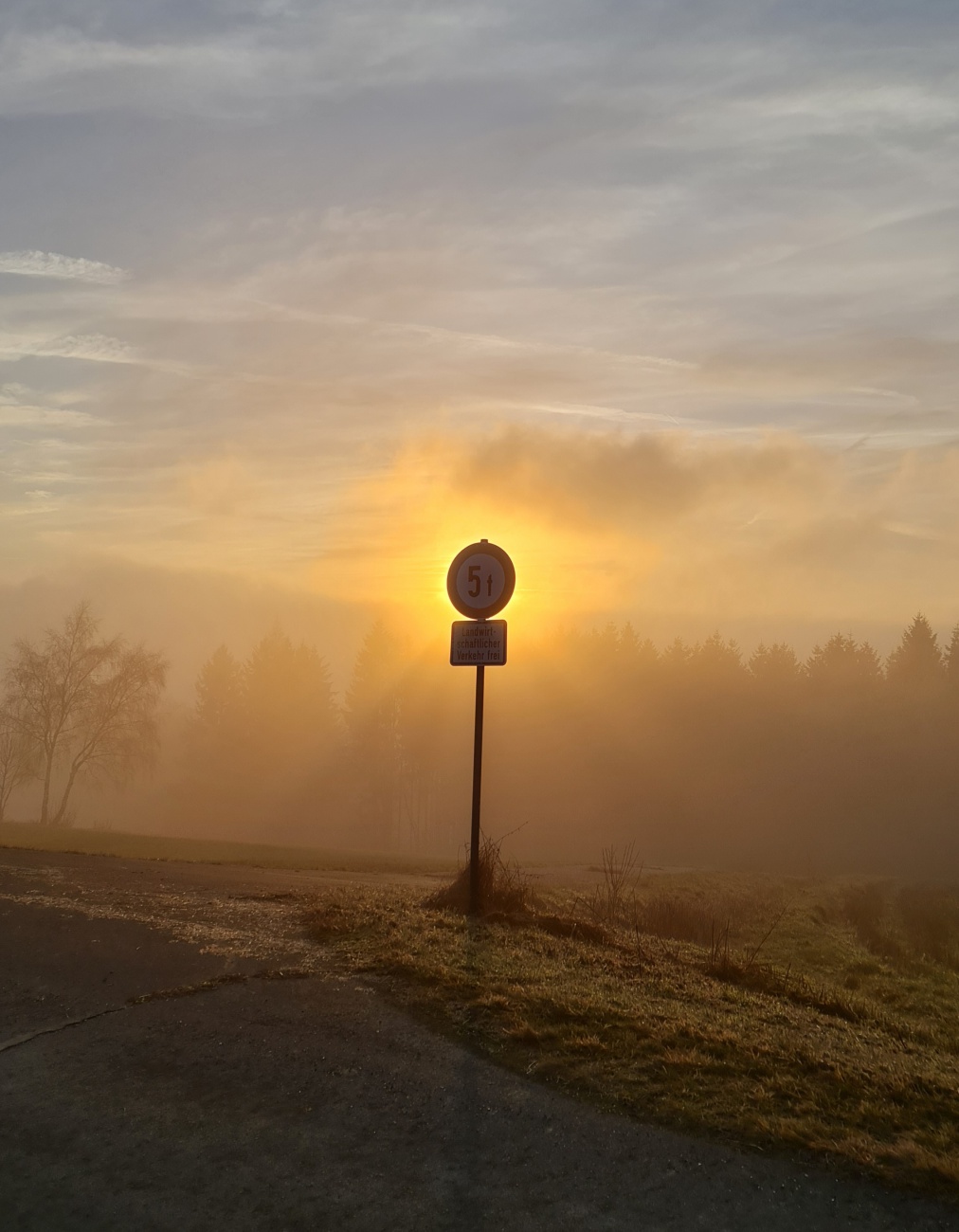 Foto: Jennifer M&uuml;ller - Heute hatten wir richtig Gl&uuml;ck! Die Sonne hat sich gezeigt... f&uuml;r einen kurzen Augenblick. Die Natur hat uns wunderbare Momente geschenkt.  