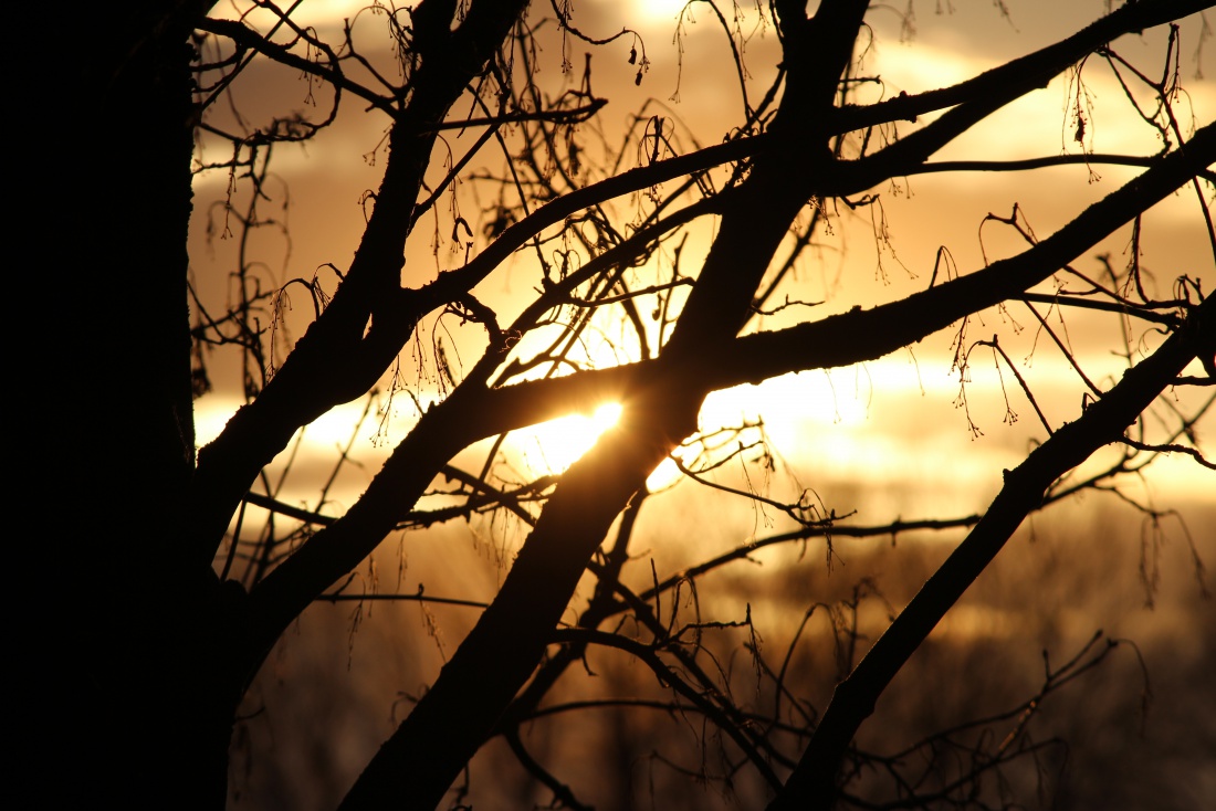 Foto: Joshua Richter - Sonnenuntergang am See bei Cham 