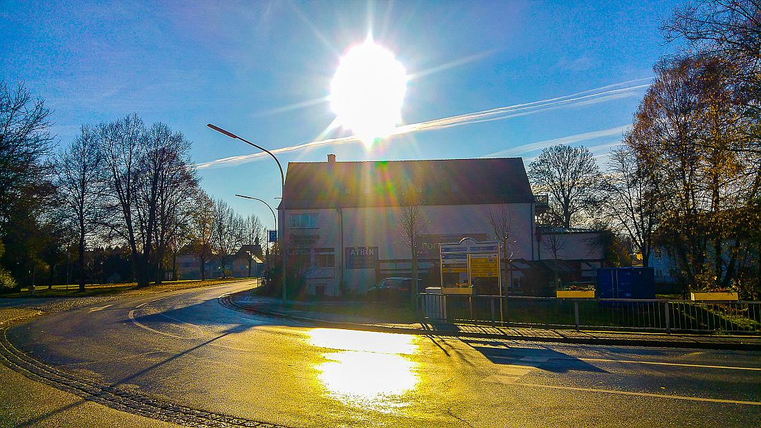 Foto: Martin Zehrer - Samstag, 23. November 2019 - ein Hauch von Frühling 