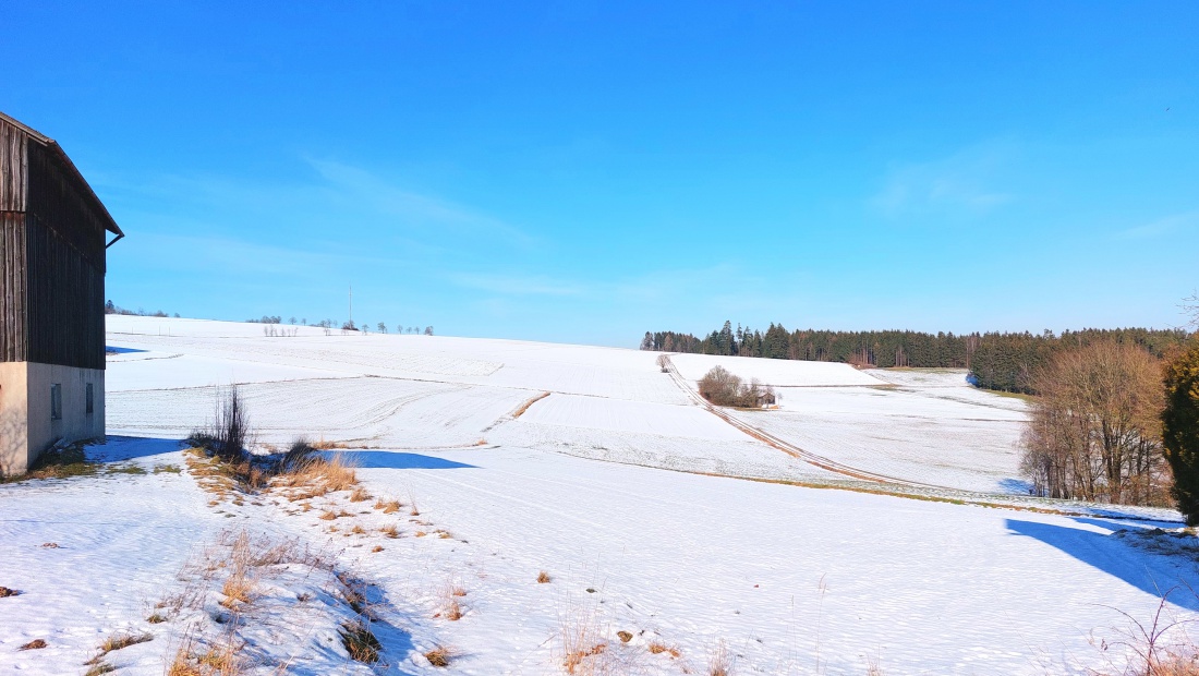 Foto: Martin Zehrer - Die Weiten der wunderschönen Godaser Winterlandschaft! ;-) 