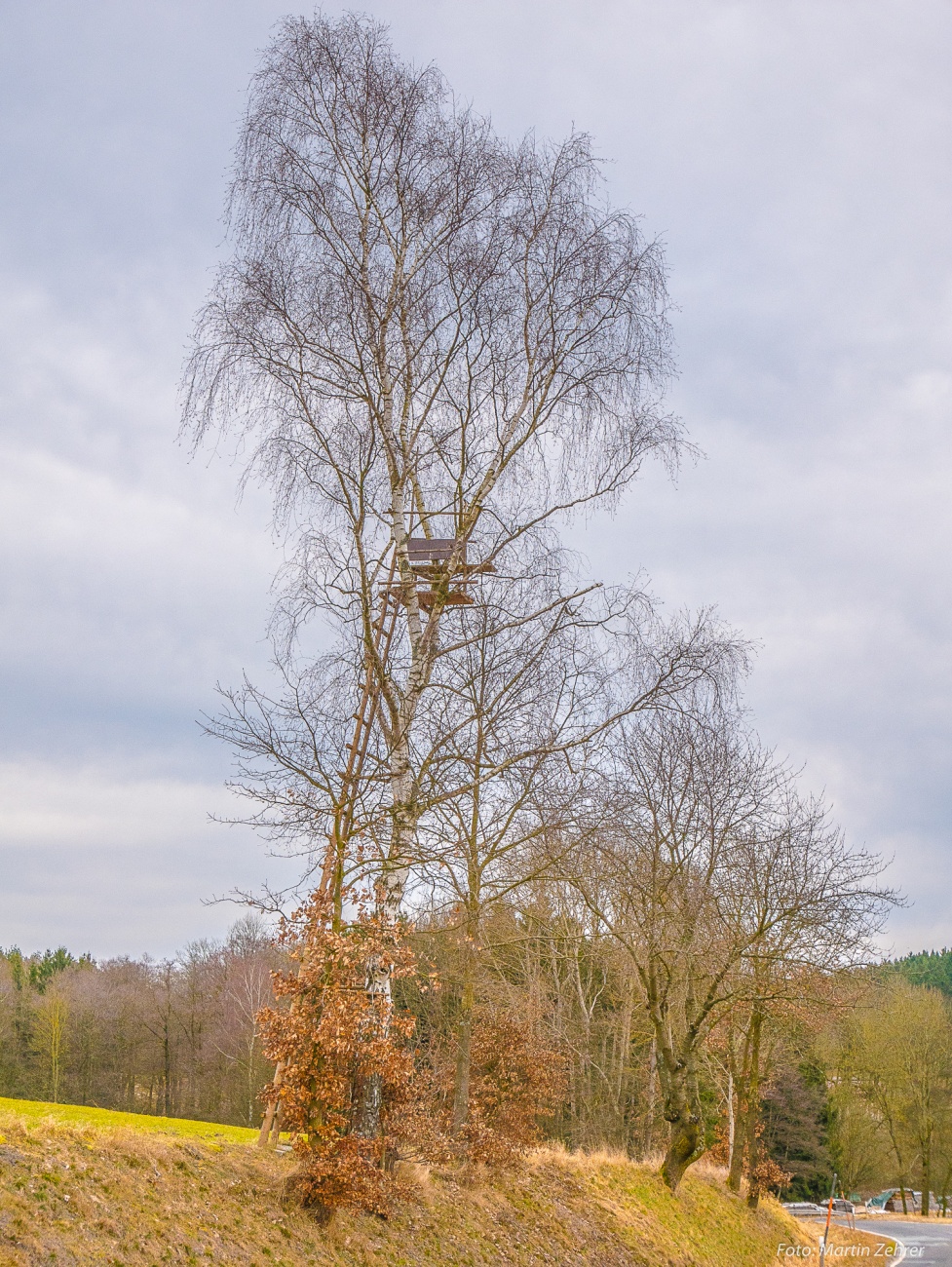 Foto: Martin Zehrer - WOW... gewagte Konstruktion eines Jägersitzes an der Straße zwischen Köglitz und Atzmannsberg... Respekt! ;-)<br />
<br />
1. Frühlingsradtour am 11. März 2018<br />
<br />
Von Kemnath, Neus 