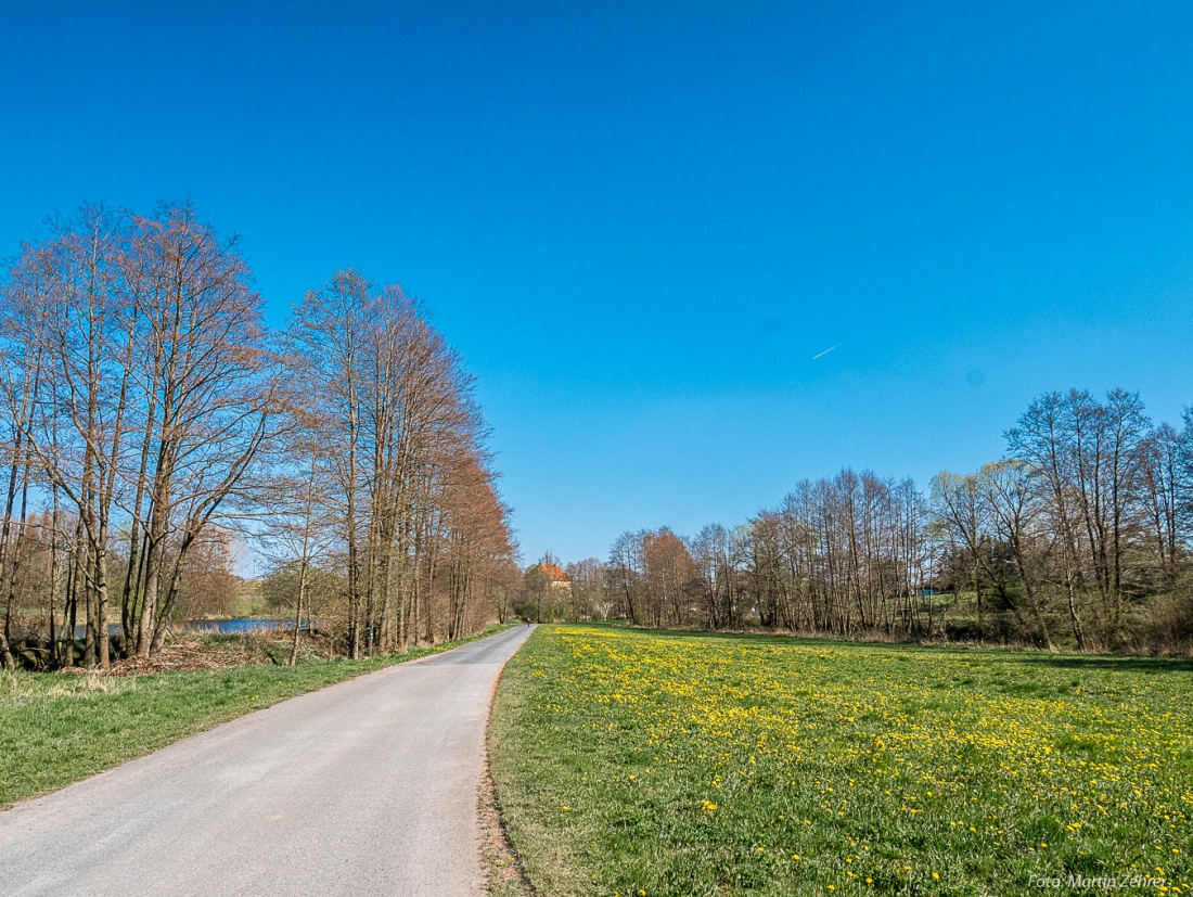 Foto: Martin Zehrer - Blick zurück nach Göppmannsbühl... 