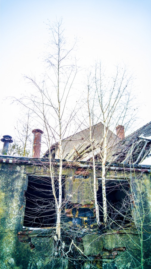 Foto: Martin Zehrer - Vergangenes zwischen Schlammersdorf und Creußen<br />
<br />
Langsam nagt die Zeit an dem Gebäude, Birken wachsen direkt aus den Wänden heraus und sprengen die Mauern. Der Dachstuh 