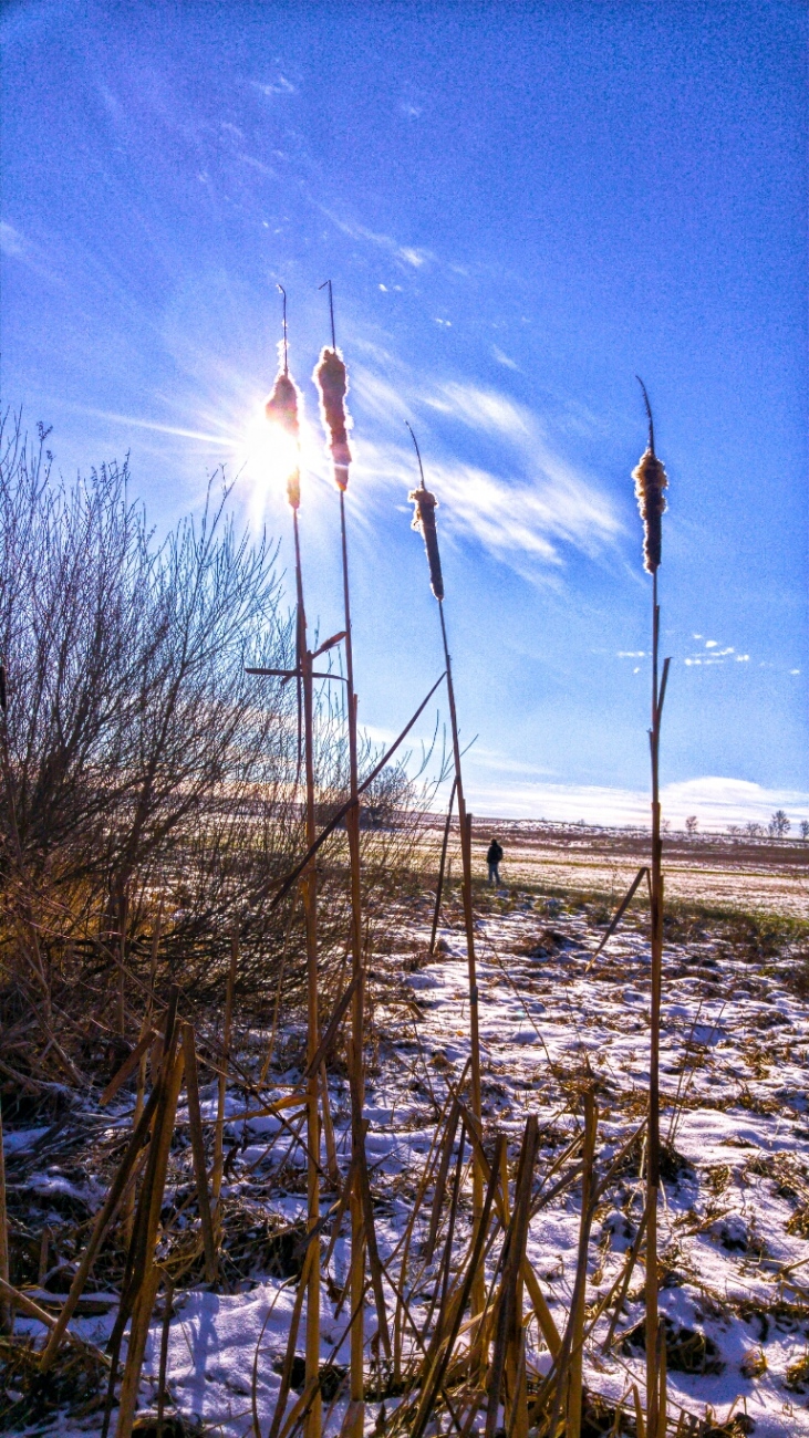 Foto: Martin Zehrer - Traum-Momente...<br />
<br />
Am kulmainer Stausee... Die vergangene Nacht hatte es ca. minus 8 Grad, das Wetter heute ist gigantisch. <br />
Wer hier her kommt, erlebt ein kleines Stüc 