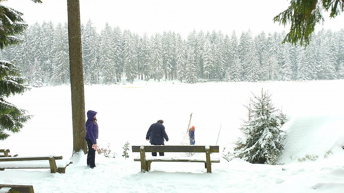 Foto: Martin Zehrer - Der Fichtelsee ist zugeschneit...<br />
<br />
8. Januar 2021 