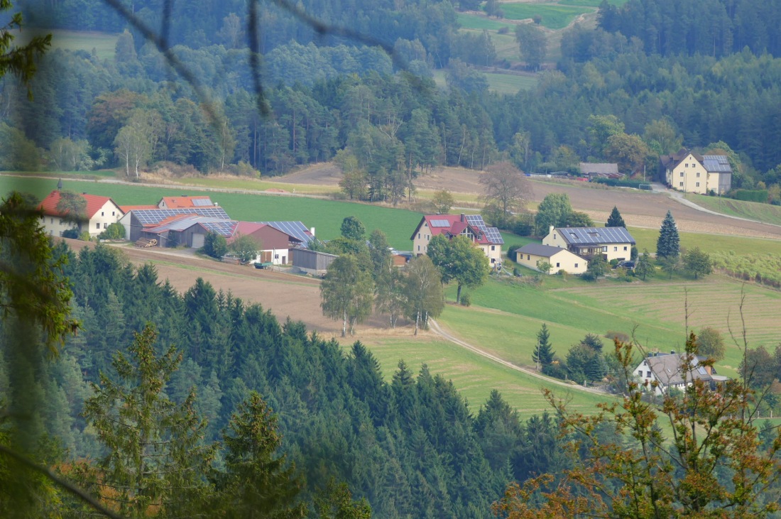 Foto: Martin Zehrer - Wandern im Steinwald<br />
<br />
Ausblick aus dem Wald heraus... 