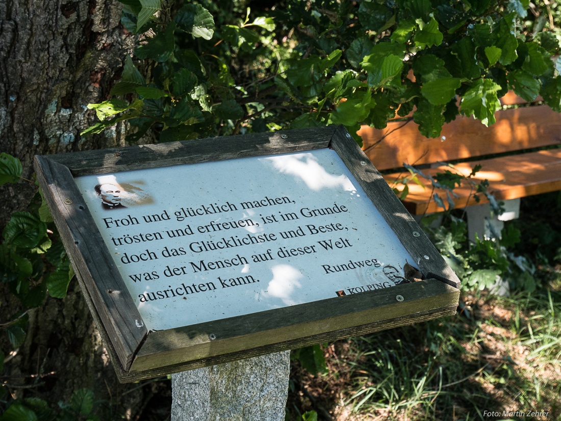 Foto: Martin Zehrer - Glücklich machen... Gesehen bei der Radtour quer durch den Kösseine-Wald bei bestem Sommer-Wetter am 30. Juni 2018. 