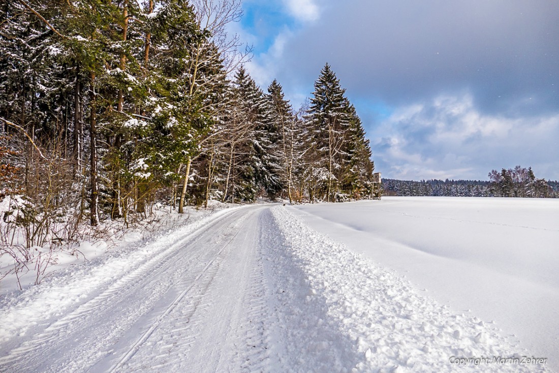 Foto: Martin Zehrer - Der Weg zum Waldhaus im Steinwald... Schneebedeckt :-) 