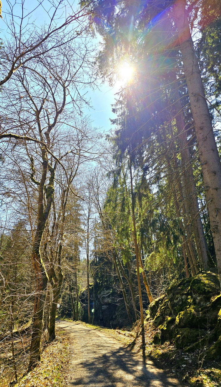Wandern im Waldnaabtal - wandern durchs Paradies...