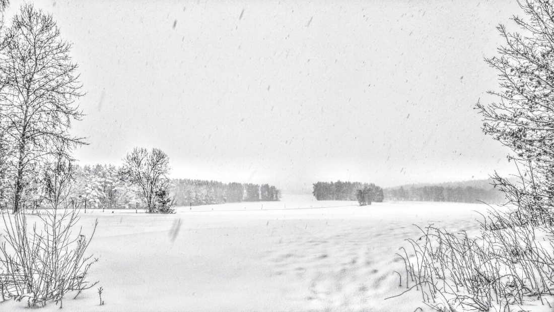 Foto: Martin Zehrer - Der Blick ins Winterland, zwischen Neusteinreuth und Eisersdorf... Viel Schnee, -3 Grad Kälte, bestes Winterwetter! 