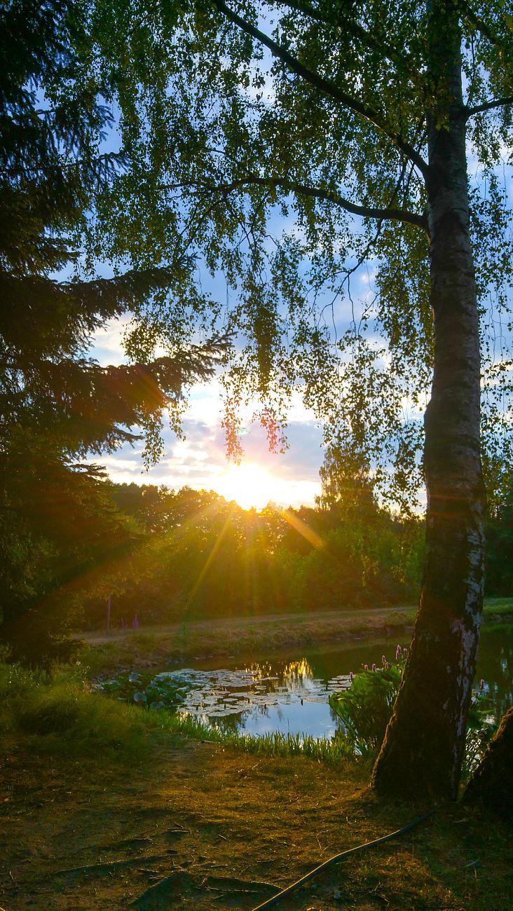 Foto: Martin Zehrer - Feierabend ;-) 