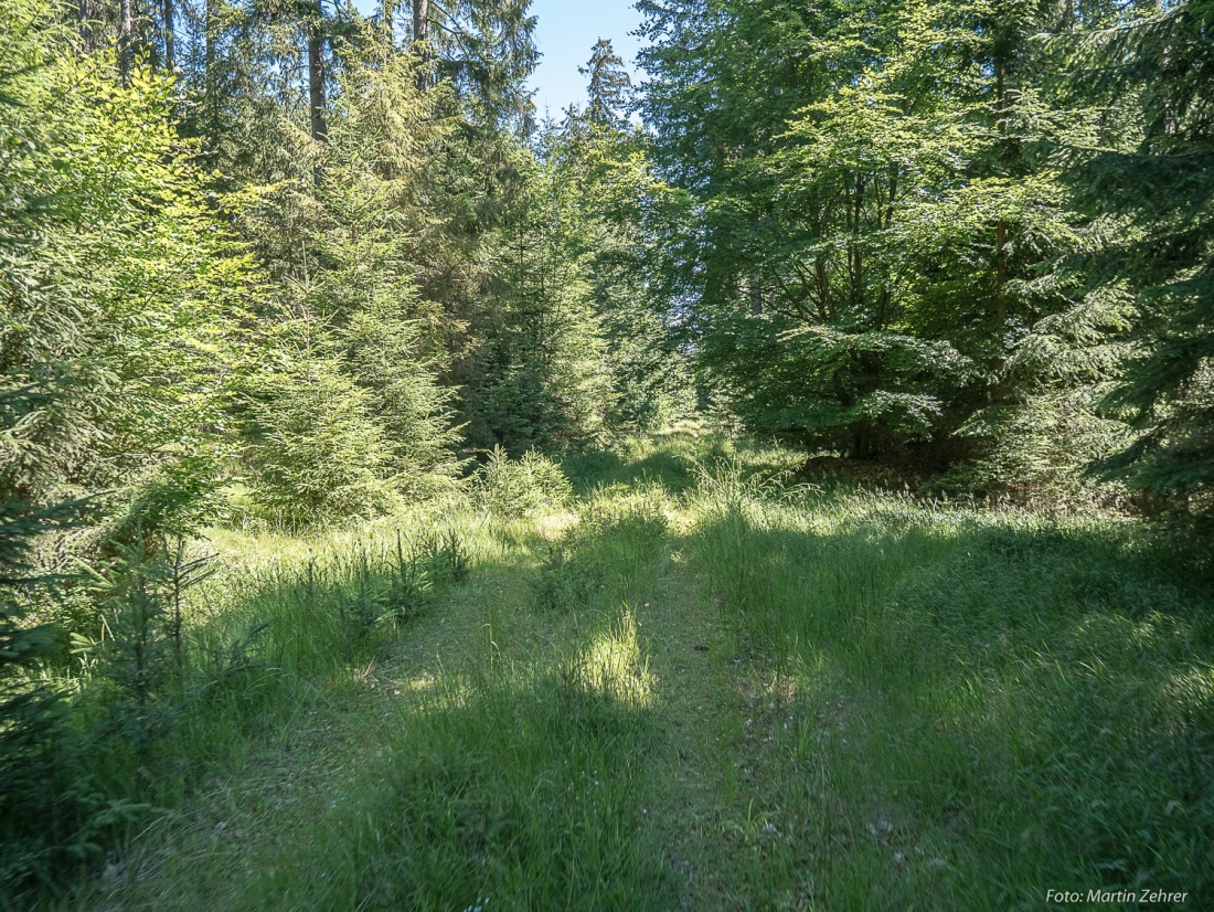 Foto: Martin Zehrer - Radtour von Kemnath nach Waldershof, quer durch den Kösseine-Wald...<br />
<br />
Unberührte Waldwege... 