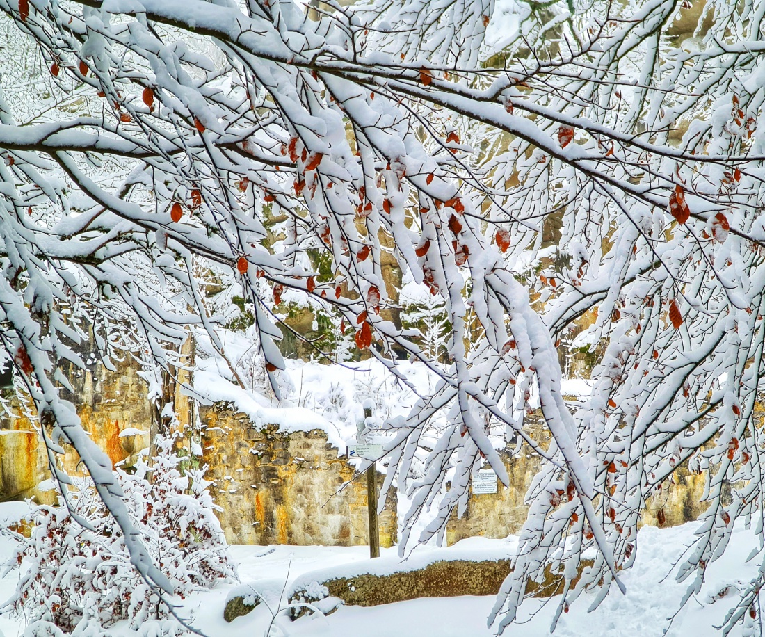 Foto: Jennifer Müller - Es hat wieder geschneit :-)<br />
Nichts wie raus in die wunderschöne Natur!<br />
Heut gehts rauf zur Burgruine Weißenstein. Auf krachendem Schnee durch den Winter-Weihnachts-Wald 