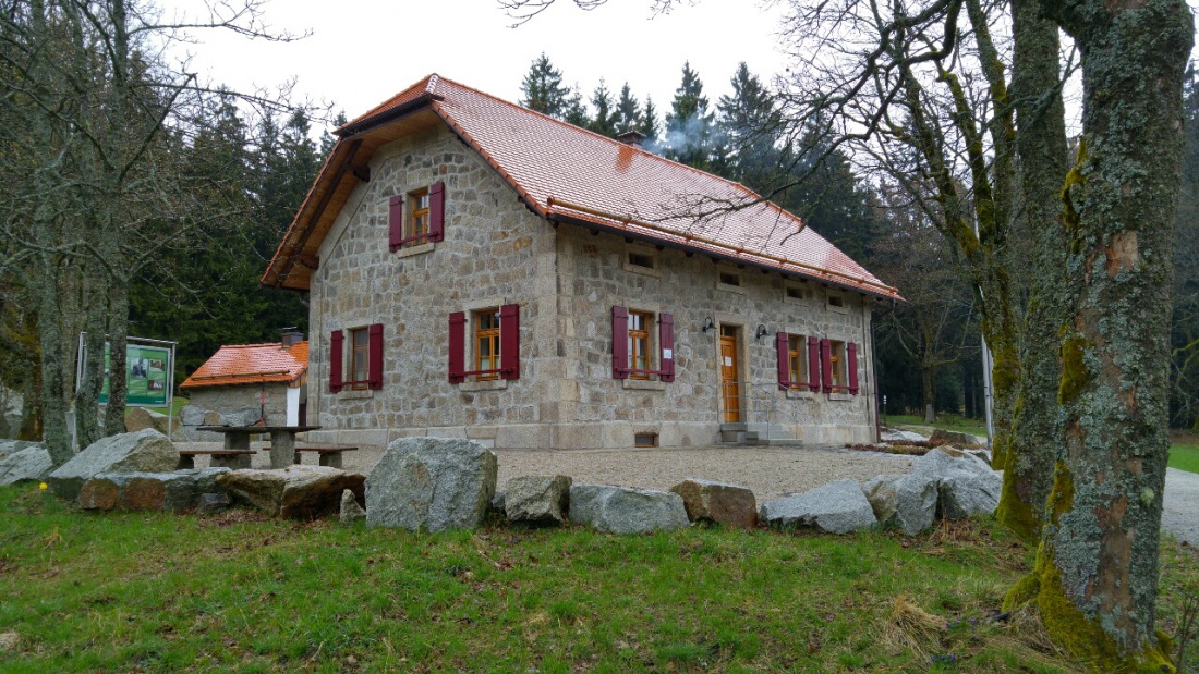 Foto: Martin Zehrer - Das Waldhaus im Steinwald bei Regen... 