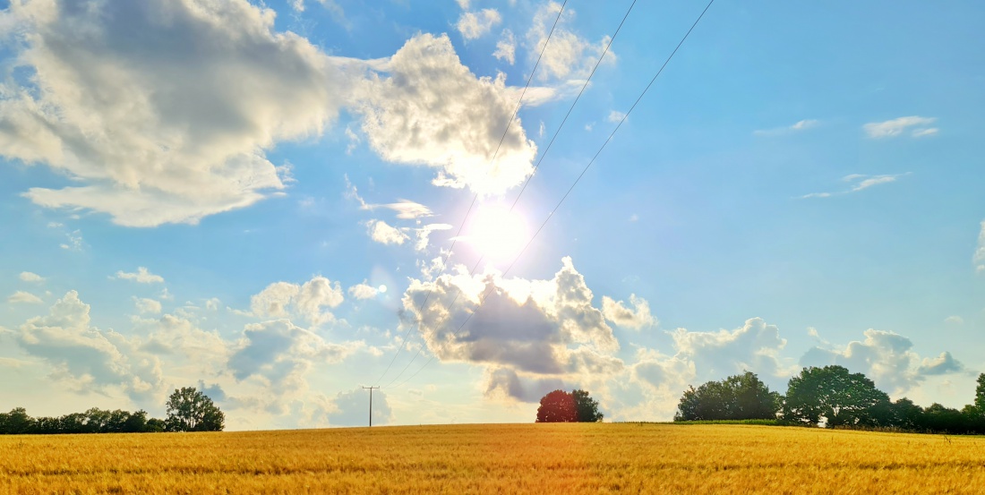 Foto: Jennifer Müller - Feierabend-Runde am 05.08.2021. Ein wunderbar sonniger Sommer-Abend rettet den eher wolkigen Tag. 