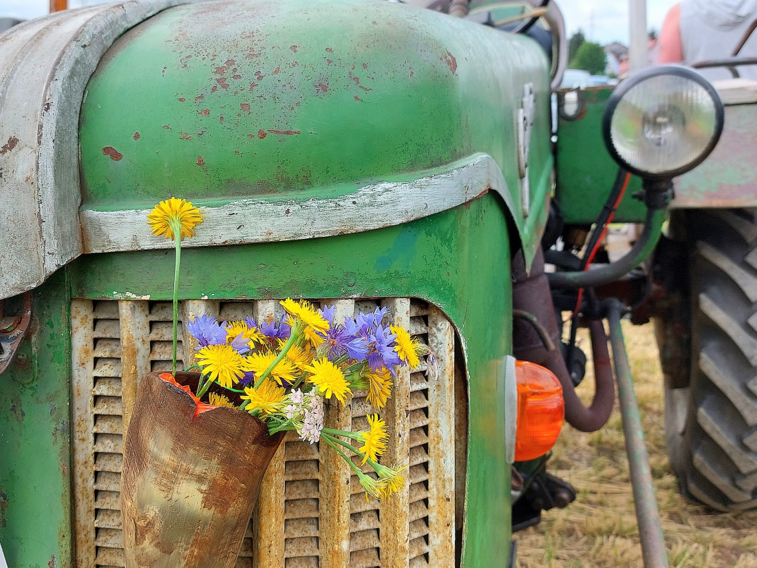 Foto: Martin Zehrer - Bulldogtreffen... Blumen an der Haube... 