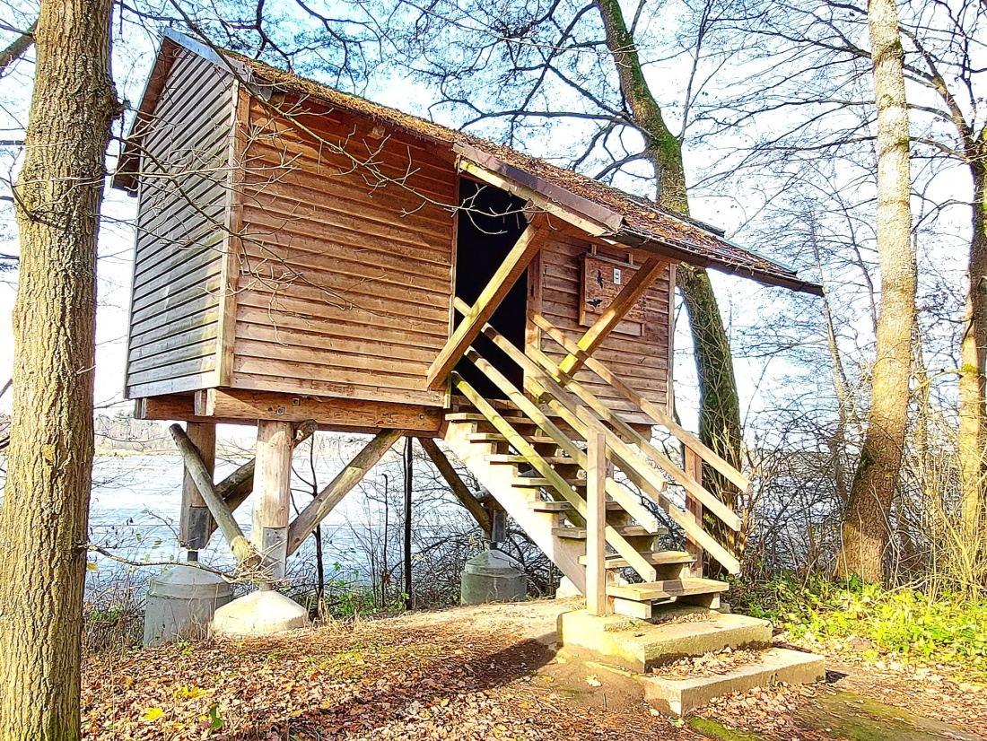 Foto: Martin Zehrer - Eine Vogel-Beobachtungs-Station am Rußweiher.  