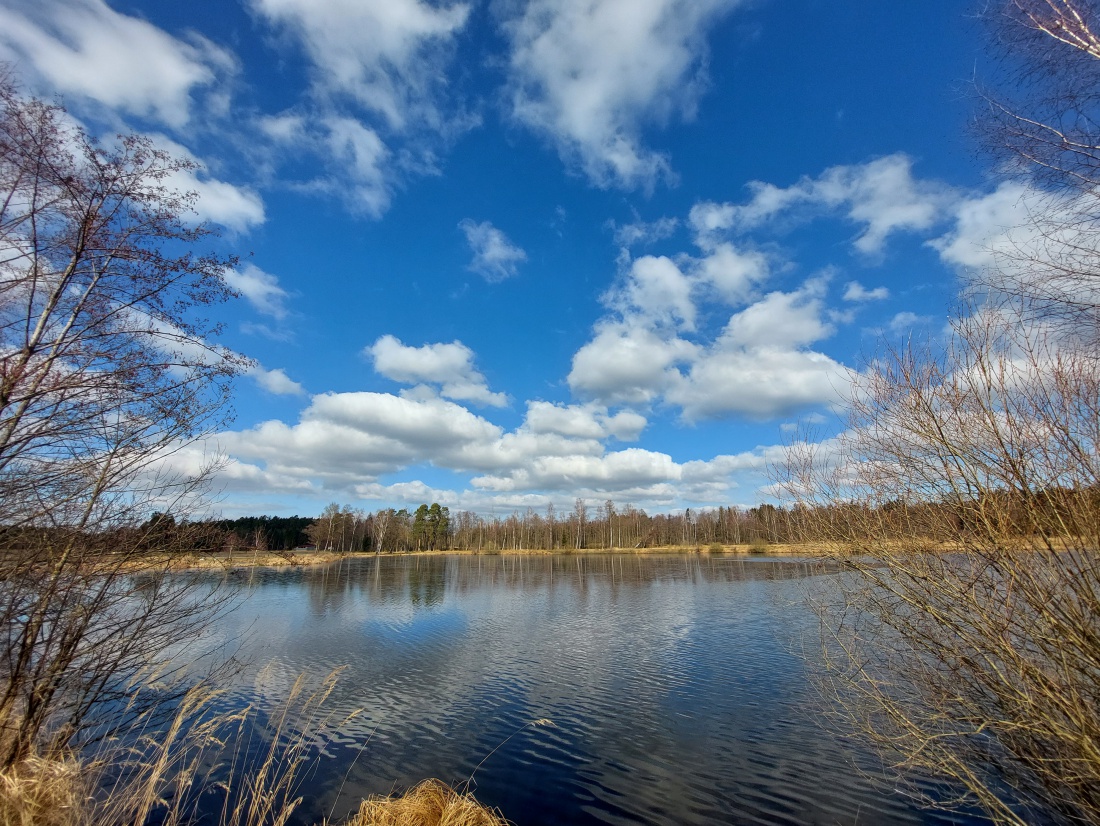 Foto: Martin Zehrer - Auf zur Himmelsleiter bei Tirschenreuth. Herrliches Wetter, beste Aussicht, der Frühling liegt in der frischen Luft. 