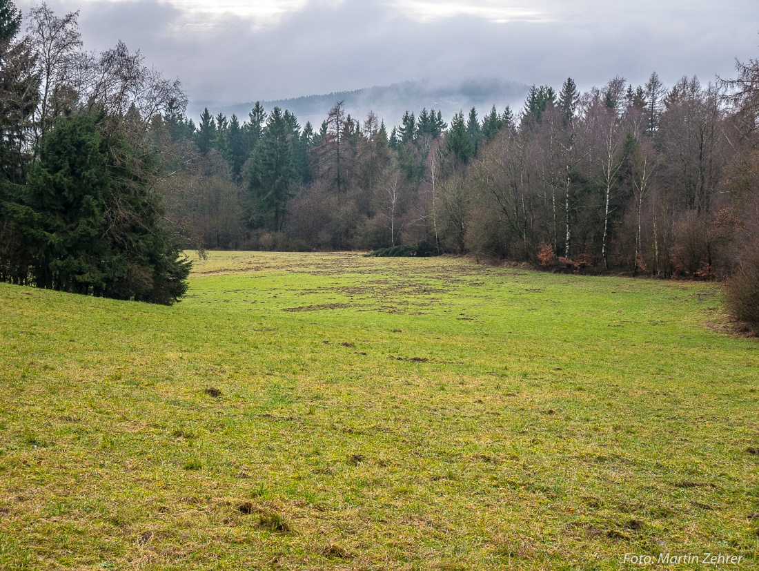 Foto: Martin Zehrer - Der Blick vom Armesberg runter, zu einer Wiese. Man erkennt die dunklen Flecken in der Wiese mit einer großen Ausdehnung.<br />
Hier waren Wildschweine am Werk und haben massi 