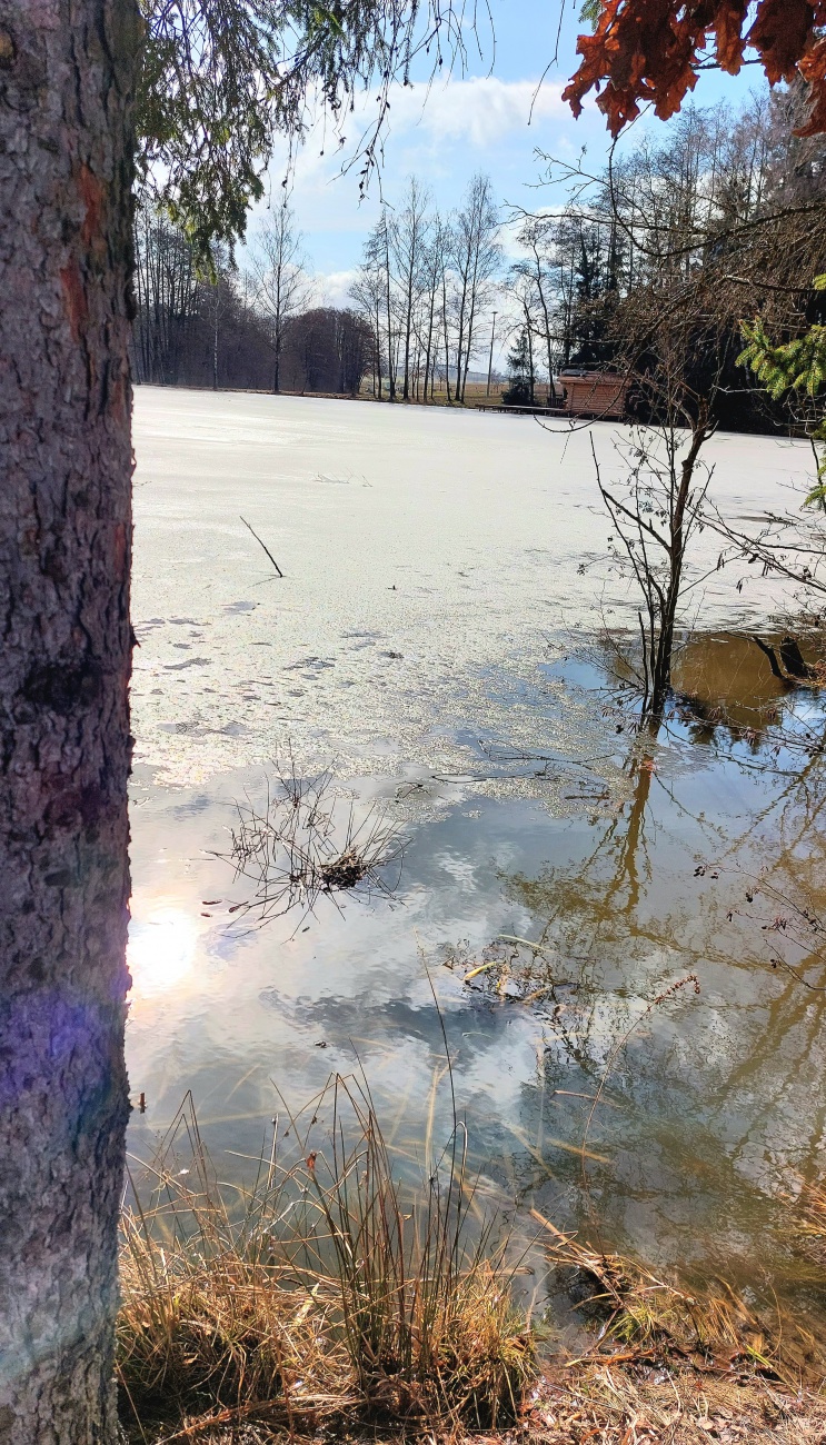 Die Frühlings-Sonne spitzt hervor...

Am 24. Februar 2026 war das Wetter bei Kemnath sehr frühlingshaft.
Die Temperatur lag so ca. bei +14 Grad, die Vögel pfiffen um die Wette und es lag der Duft von frisch aufgetauter Erde in der Luft.
Die Wolken wetteiferten mit der Sonne um die Vorherrschaft. 
