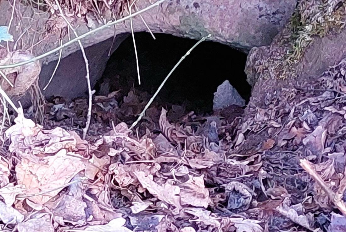 Geheime Bauwerke unter der Erde...
Hier dürfte ein Teil eines Kellers oder einer Höhle sichtbar sein.
Bei näherem hingucken zeigt sich, dass ein kleiner Tunnel im Hang entlang läuft. 