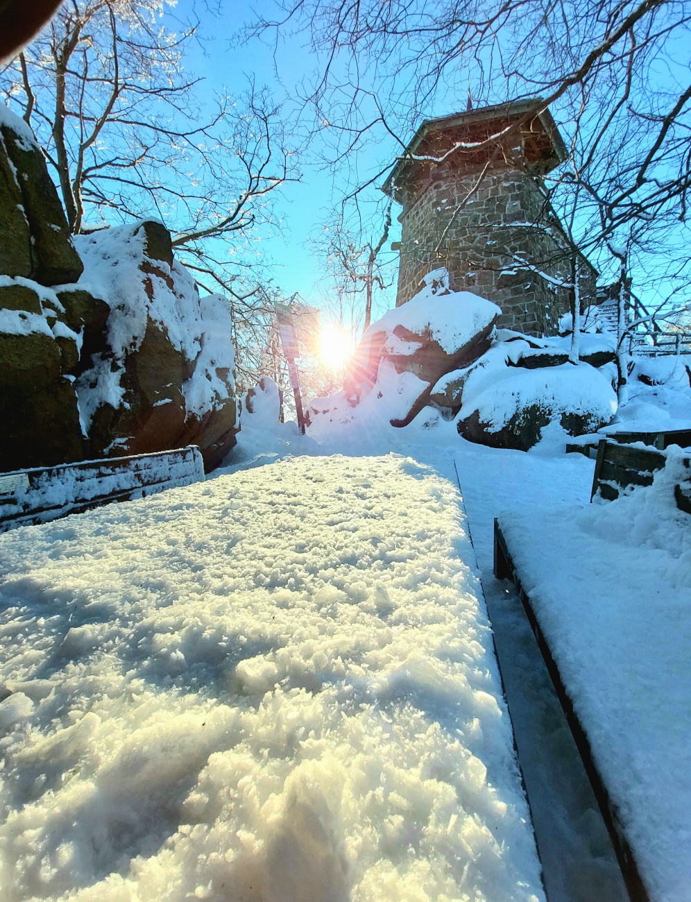 Foto: Martin Zehrer - Kösseine-Wanderung in den Sonnen-Himmel hinauf!<br />
Seit Tagen und Wochen herrscht trübes bzw. nebeliges Wetter. Am Freitag, den 14. Januar 2022 packte mein Mäuschen den Ruc 