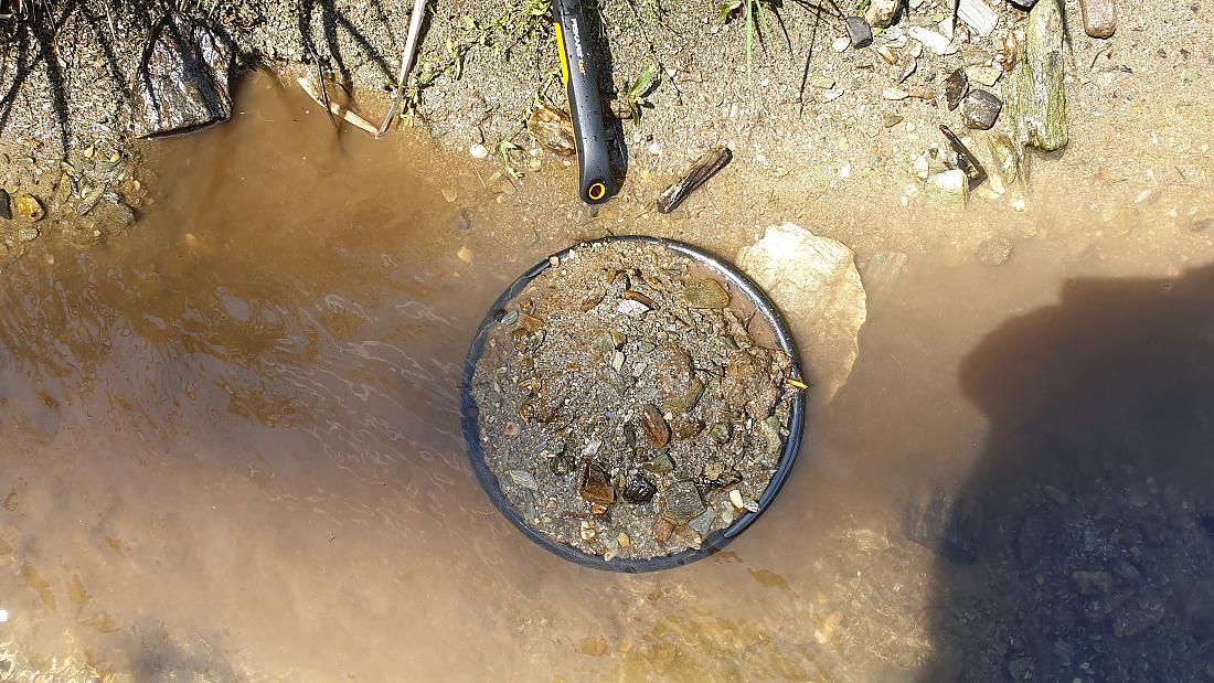 Foto: Martin Zehrer - Die Schüssel voller Dreck aus dem Goldbach, wird da Gold zu finden sein?  