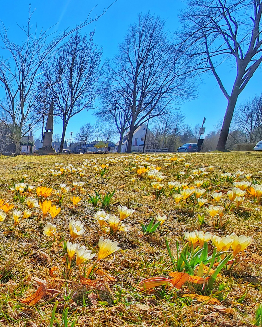 Foto: Jennifer Müller - Es wird Frühling in Kemnath! 