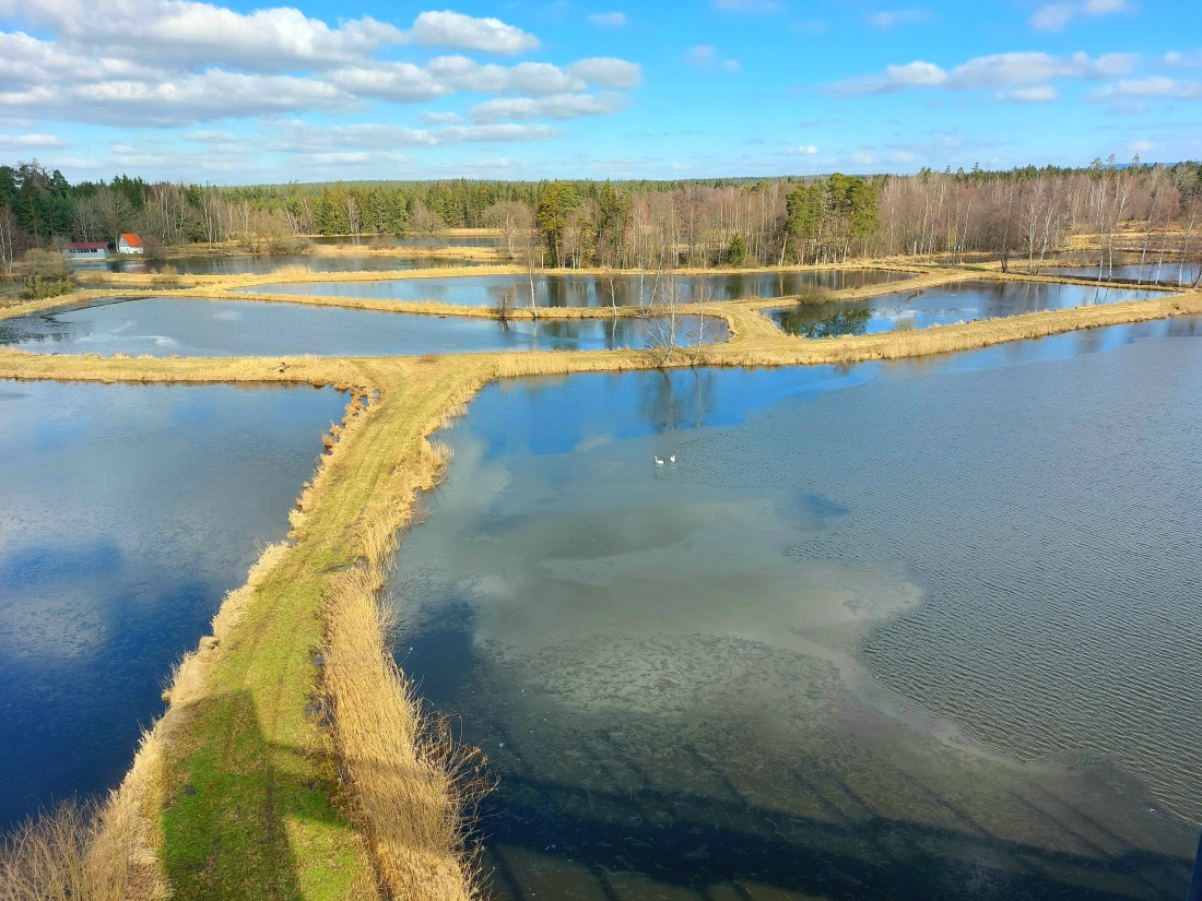 Foto: Martin Zehrer - Auf zur Himmelsleiter bei Tirschenreuth. Herrliches Wetter, beste Aussicht, der Frühling liegt in der frischen Luft. 