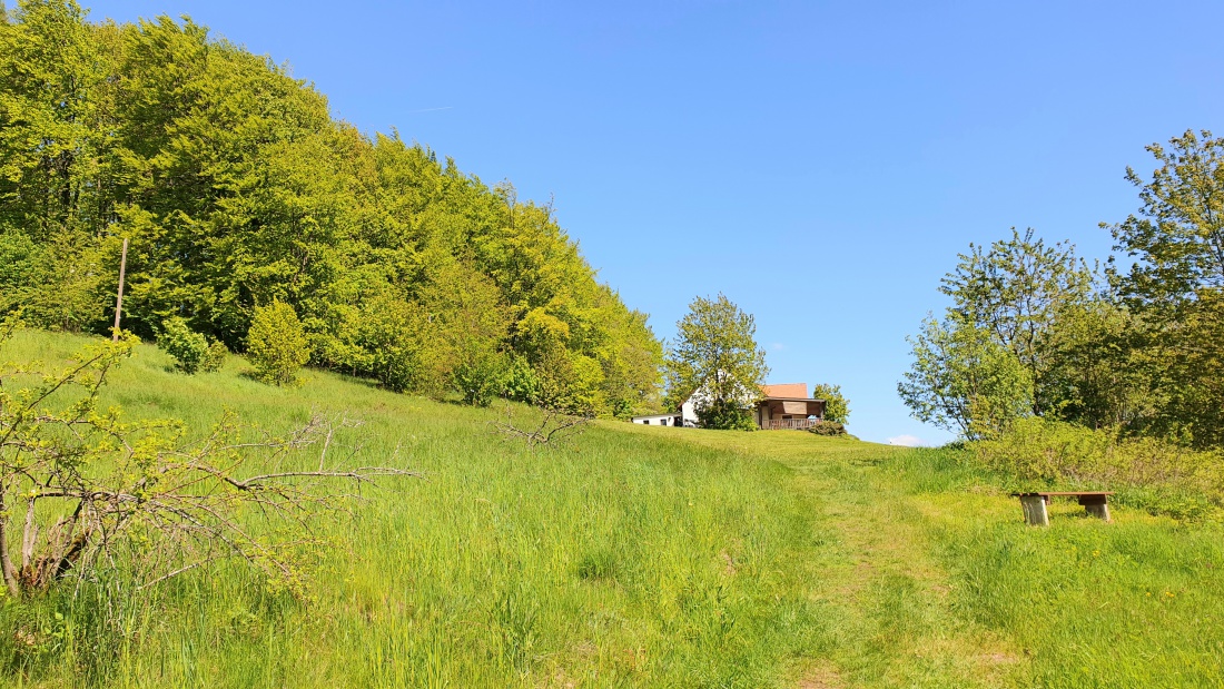 Foto: Martin Zehrer - Wunderbare Sonntag-Vormittags-Wanderung  hoch zum Armesberg ins Mesnerhaus...<br />
 