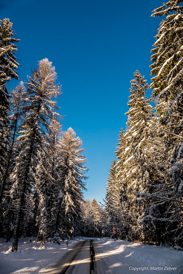 Foto: Martin Zehrer - Winterwald mit blauen Himmel :-D<br />
<br />
19.01.2016 