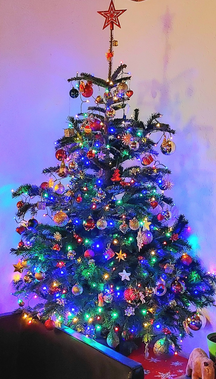 Foto: Martin Zehrer - Er ist vollendet!!! Heuer wurde uns ein besonders wunderschöner Christbaum beschert. 