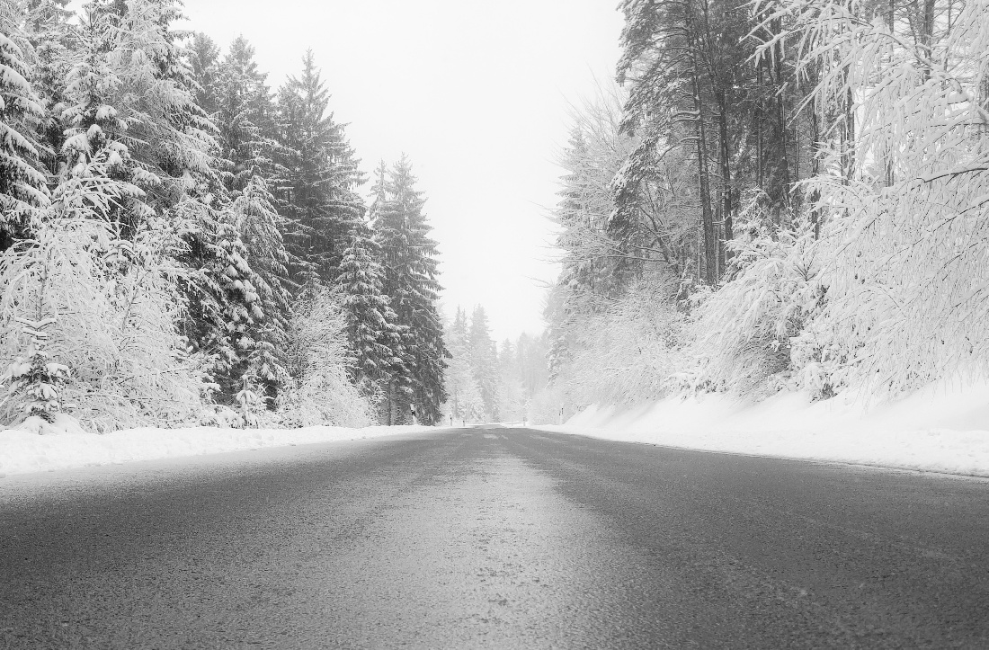 Foto: Jennifer Müller - Heut mal unterwegs im hessenreuther Wald. 