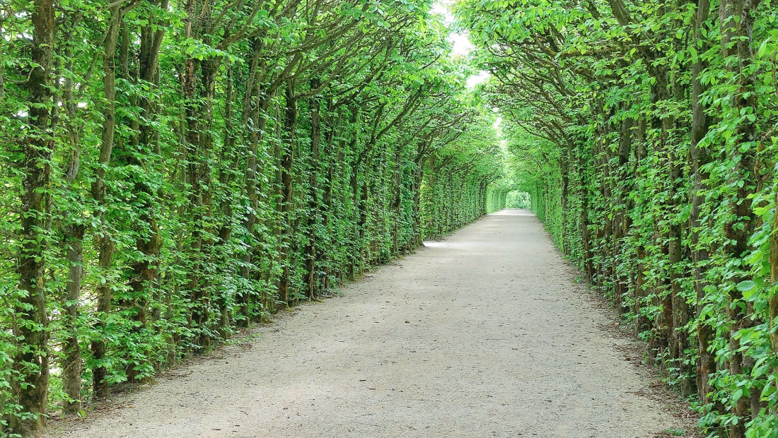 Foto: Martin Zehrer - Eremitage Bayreuth, einfach mal durch diesen wunderschönen Park spazieren... 
