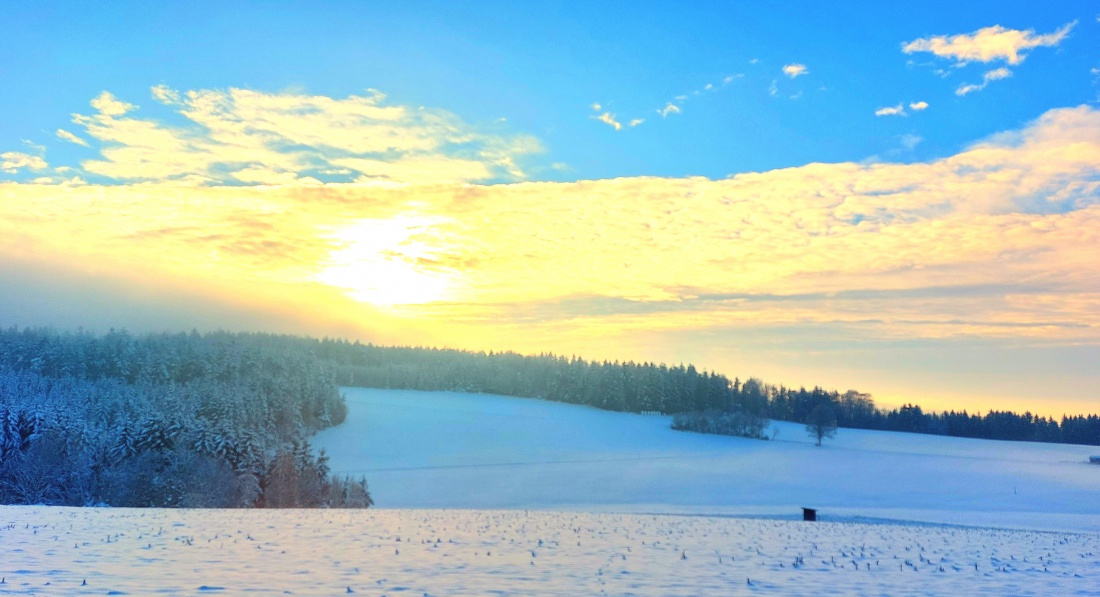 Foto: Martin Zehrer - Winter... 30. November 2023 bei Zwergau <br />
<br />
Temperatur: -2 Grad Kälte am Vormittag <br />
<br />
Winter Wetter 